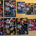 2024-25 Blueline Team Set kortteja 0,30 EUR/kpl - pikkukuva 2