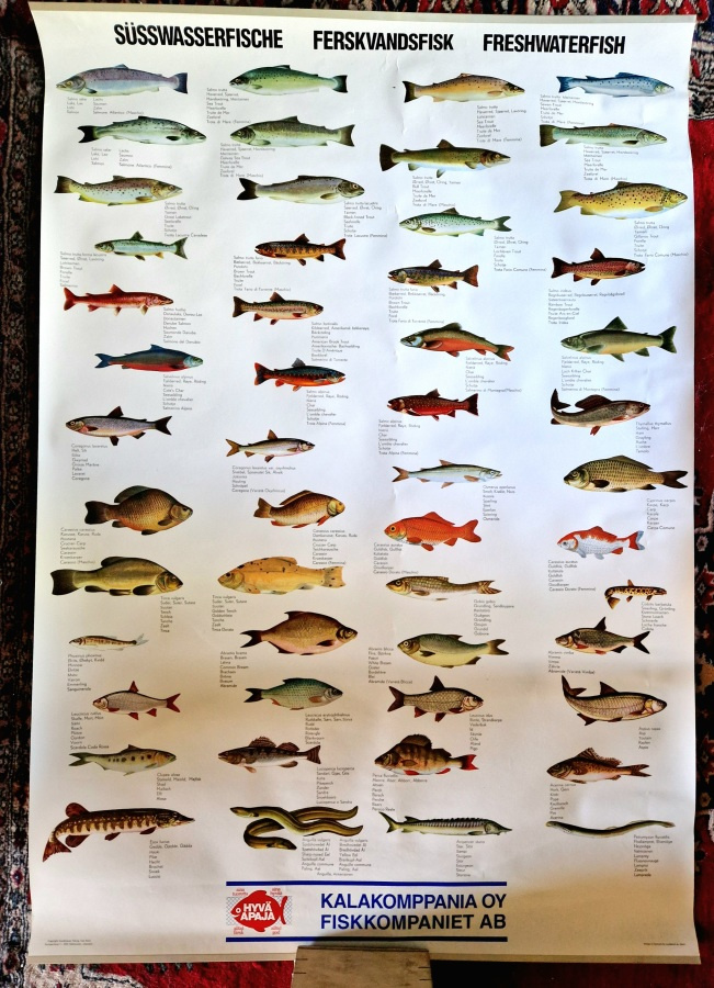 Kala aiheinen Mainosjuliste . Kala komppania 102×72 Cm