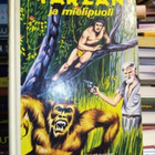 Burroughs :  TARZAN ja mielipuoli ( SIS POSTIKULU) - pikkukuva 1