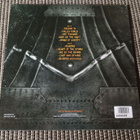 Dragonforce: The Power Within LP. - pikkukuva 2