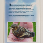 Heikki Andelin : Siipirikosta Jumalan papiksi - pikkukuva 2