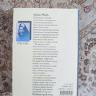 Sylvia Plathin päiväkirjat - pikkukuva 2