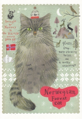 Marianna Sztyma: Norjalainen metsäkissa (isohko kortti)