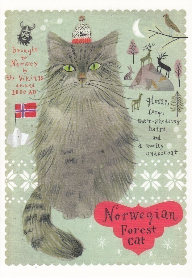 Marianna Sztyma: Norjalainen metsäkissa (isohko kortti)