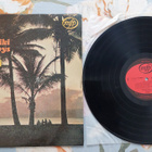 LP The Waikiki Beach Boys: Aloha Hawaii - pikkukuva 1