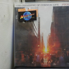 FUCKED UP - THE CHEMISTRY OF COMMON LIFE UUSI 2LP - pikkukuva 1