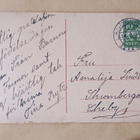 Leidi kukkaikkunassa tuo onnitellen korillisen kukkia 1924 - pikkukuva 2