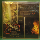 VALOPATSAAT EX-/EX LP - pikkukuva 2