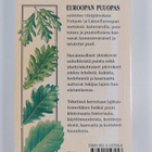 Alan Fyson Mitchell : Euroopan puuopas - pikkukuva 2