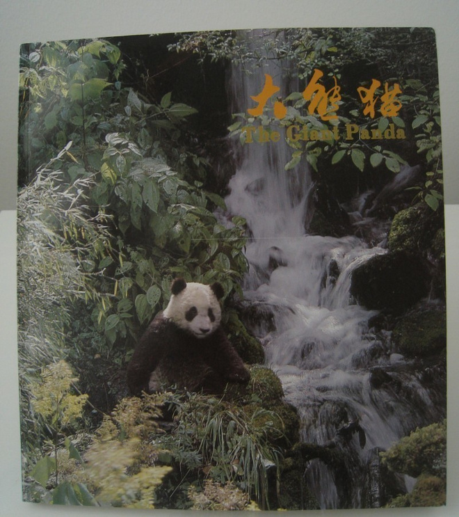 The Giant Panda Jättiläispanda - kuvakirja Kiina