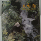 The Giant Panda Jättiläispanda - kuvakirja Kiina - pikkukuva 1