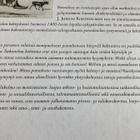 PORONHOIDON SYNTY JA KEHITYS SUOMESSA - pikkukuva 2