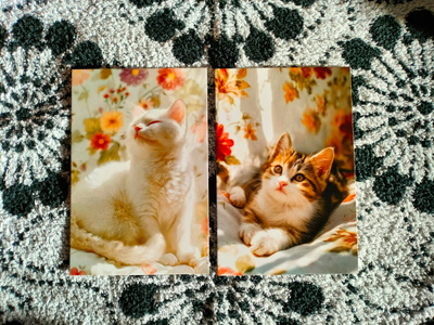 ~Kissa kortti~ 2kpl
