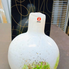 Iittala-Nuutajärvi, Oiva Toikka, Tunturissa Talvipullo sig. - pikkukuva 1