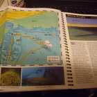 Diving Guide : SHARM EL SHEIKH ( English Edition ) SIS.PK! - pikkukuva 5