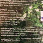 VANTAAN KASVIT cd-rom - pikkukuva 2