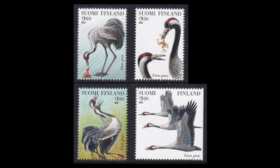 1391-4 ** Kurkilintuja (1997)