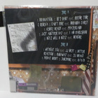 SUNGLASSES KID - GRADUATION EX+/M- UK 2018 LP - pikkukuva 2