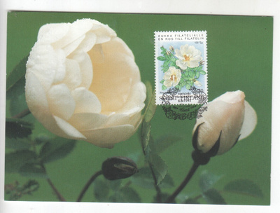 1993 Ruusu filatelialle maksimikortti.