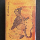 Days N Daze - Rogue Taxidermy C-kasetti (2019) - pikkukuva 1