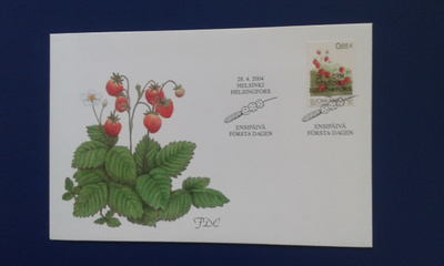 fdc 2004 ahomansikka