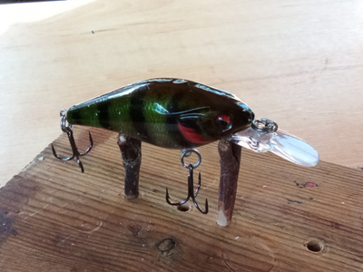 Daiwa Prorex Toddler Crank 6cm