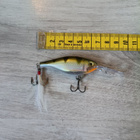 Rapala viehe - pikkukuva 1