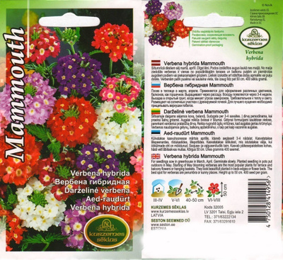 Tarhaverbena 'Mammouth' - siemenet #