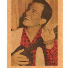 Purkkakuva D n:o 29 PAT BOONE - pikkukuva 1