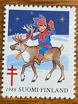 JOULUMERKKI PORO JA TONTTU**