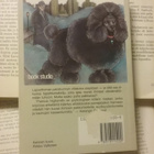 Patricia Highsmith - Lunnaat (nid.) - pikkukuva 2