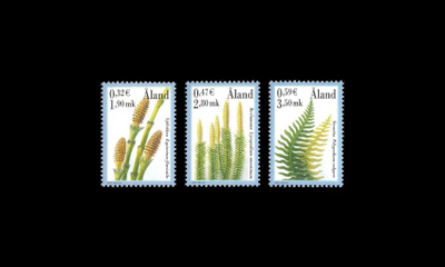 187-9 ** Itiökasveja (2001)