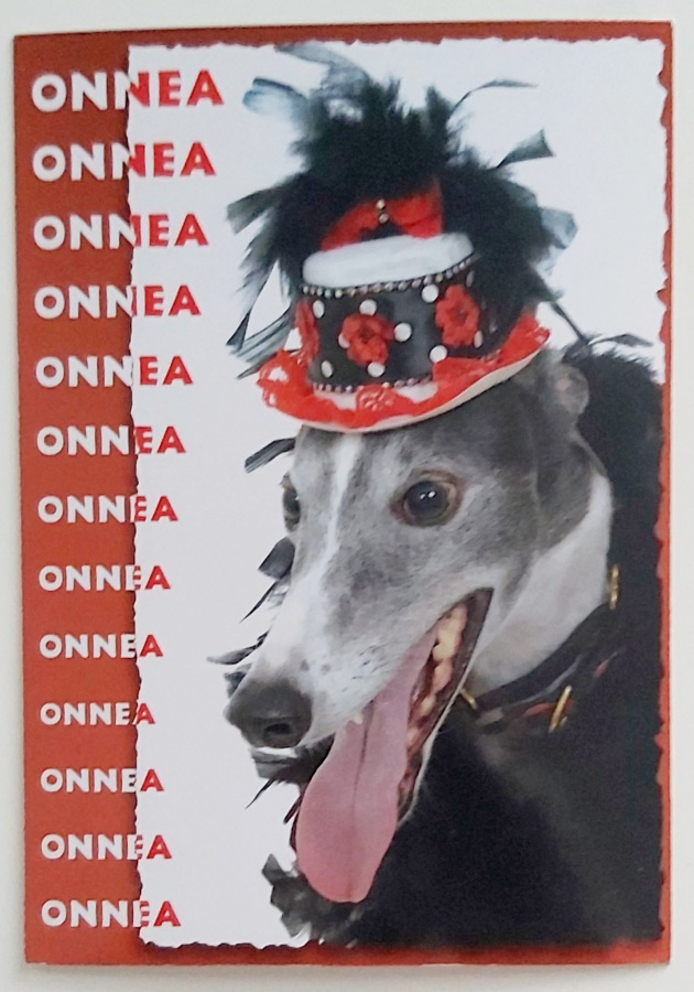 "Koira juhlahatussa"-KULKEMATON POSTIKORTTI
