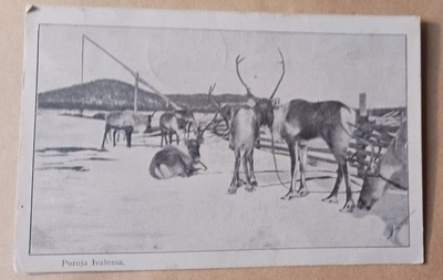 ivalo, poroja Ivalossa, mv pk, p. 1923
