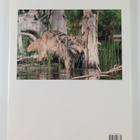Leonard Lee Rue : Wolves : a portrait of the animal world - pikkukuva 2