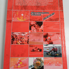 Sami Lappalainen : Kartingin vuosi 2008 - pikkukuva 2