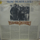 FLAMIN GROOVIES - SLOW DEATH, LIVE! M-/M- LP - pikkukuva 2