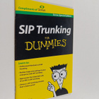Pat Hurley : Sip Trunking for Dummies, Sonus Special Edition - pikkukuva 1