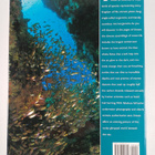 Beverly McMillan ym. : Oceans : Life in the Deep - pikkukuva 2