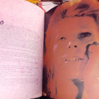 The Songs of David Bowie ( SIS POSTIKULU ) 1973 !!! - pikkukuva 4