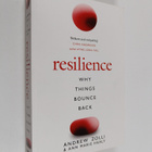 Ann Marie Healy ym. : Resilience : Why Things Bounce Back - pikkukuva 1