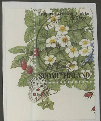 1994 ahomansikka kaunis