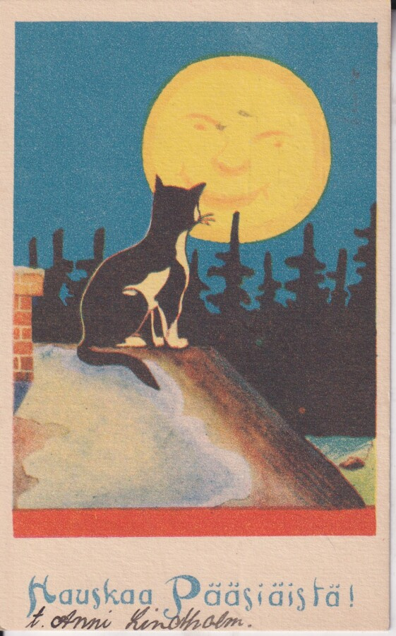 Hauskaa Pääsiäistä. Kissa kuutamolla.  e211