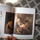 Accademia Galleries in Venice Guide (Venetian taide-aarteet) - pikkukuva 2