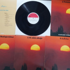 LP Slaavilaisen musiikin toivekonsertti (8 LP-levyä) - pikkukuva 2