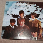 The Buckinghams - Greatest Hits LP - pikkukuva 1