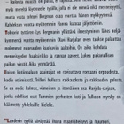 LEENA LANDER: ILOISEN KOTIINPALUUN ASUINSIJAT (KOVAKANTINEN) - pikkukuva 2