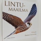Reima Flyktman : Lintumaailma : Elämää Suomen luonnossa - pikkukuva 1