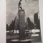 VANHA Postikortti Kotka 1950-l Alkup.Mallikappale - pikkukuva 1