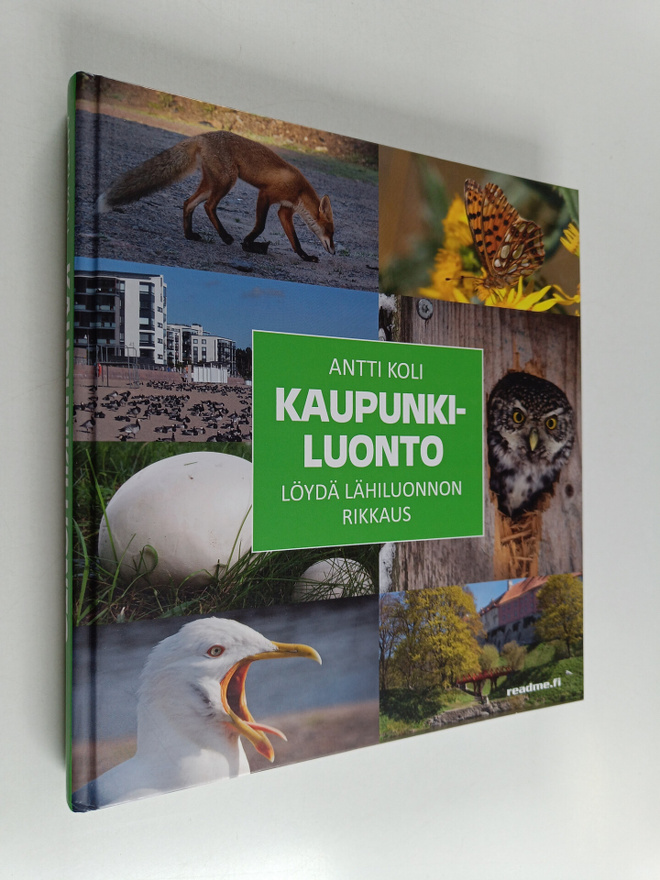 Antti Koli : Kaupunkiluonto